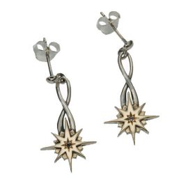 Compass Post Dangle Earrings SS 10kt Gold PEX7019